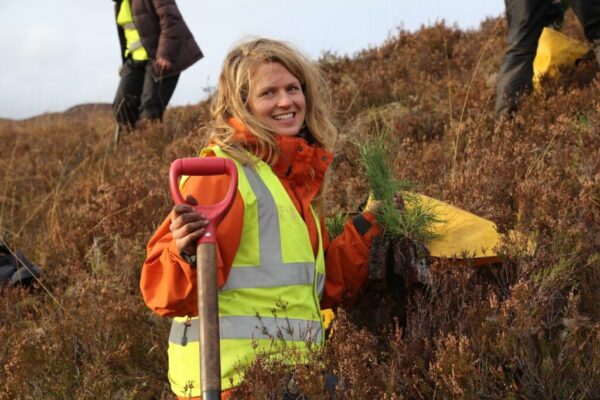 Planting a tree in the right place