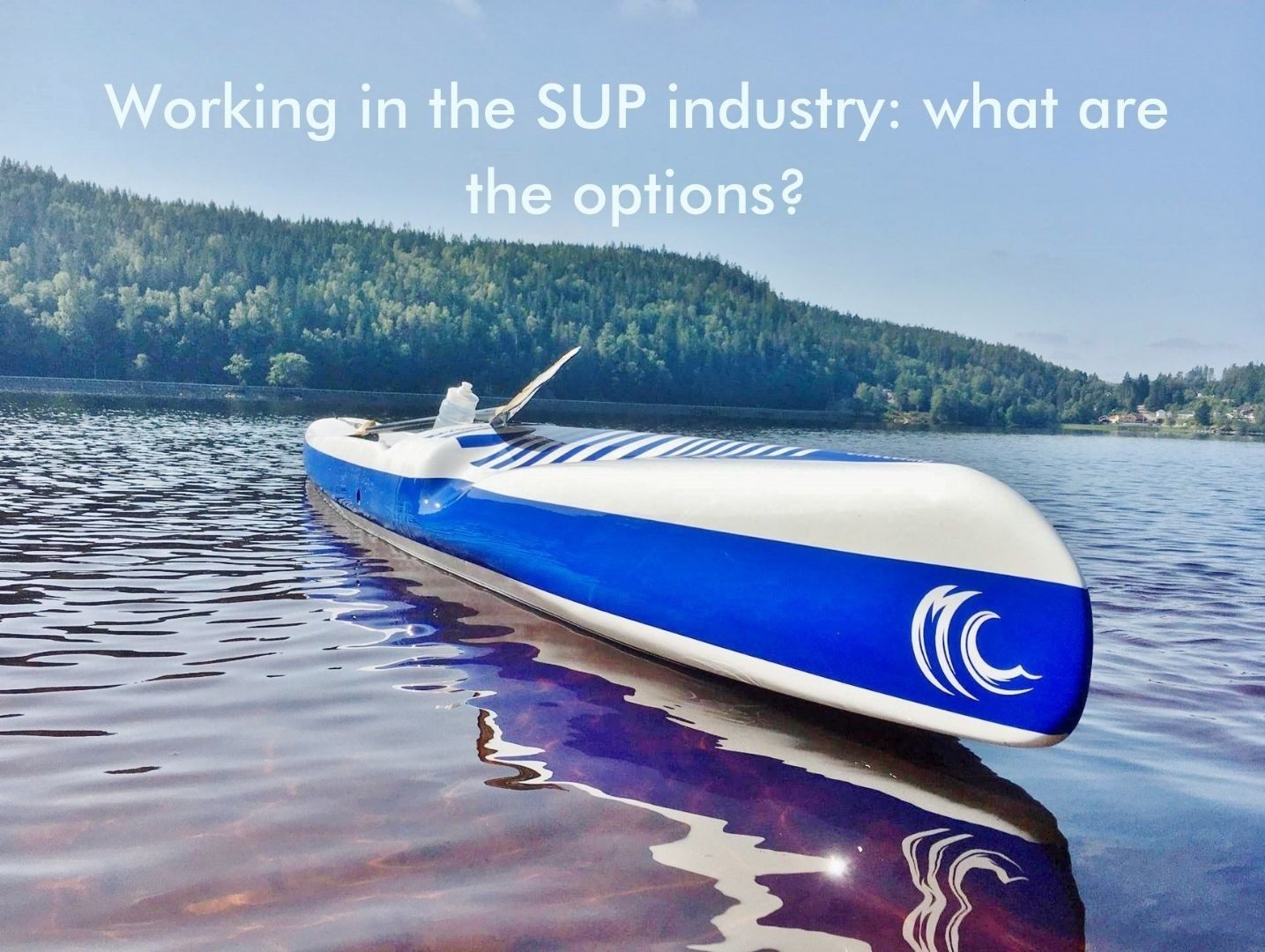You are currently viewing Working in the SUP industry: what are the options?