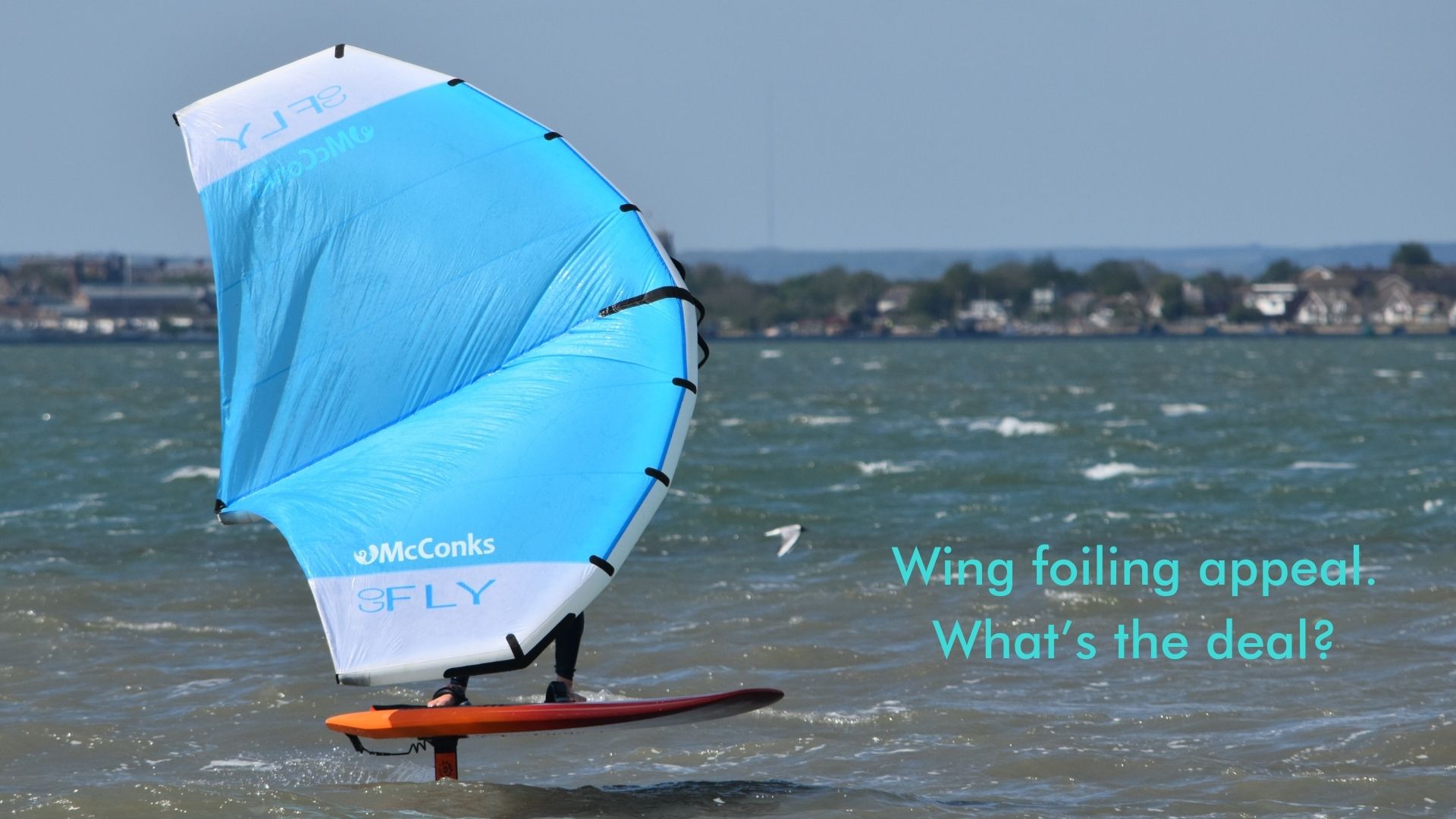Wing foiling appeal. What’s the deal #1