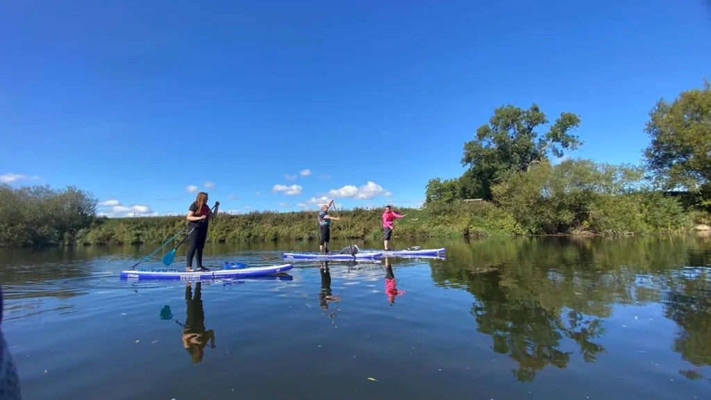 Black Grouse paddle boarding 