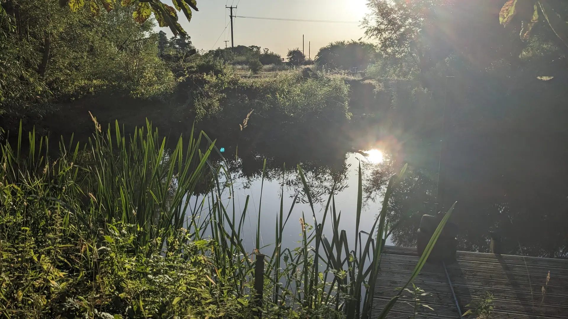 PXL 20250712 052726598.MP scaled