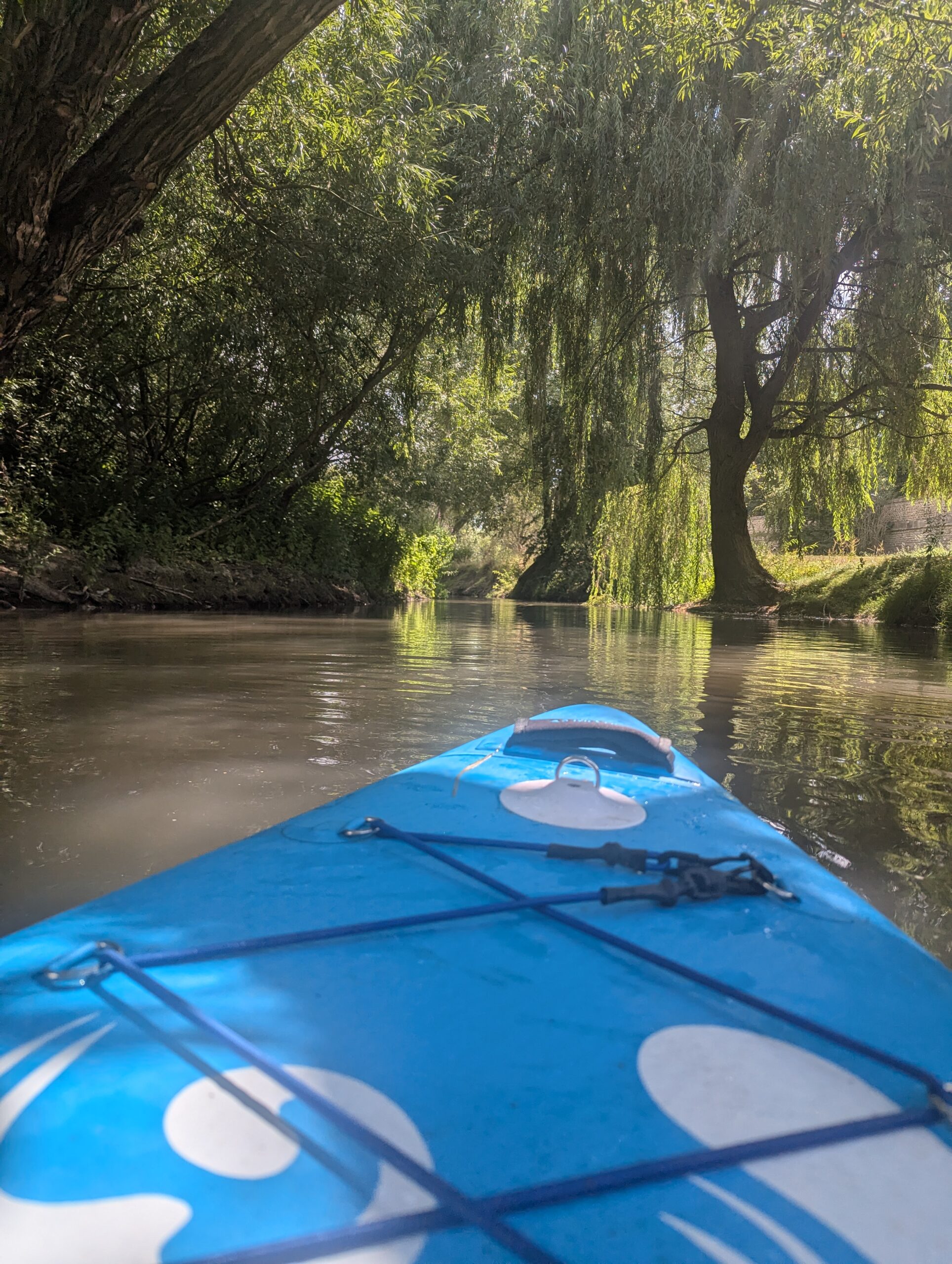 PXL 20250713 131953554 scaled